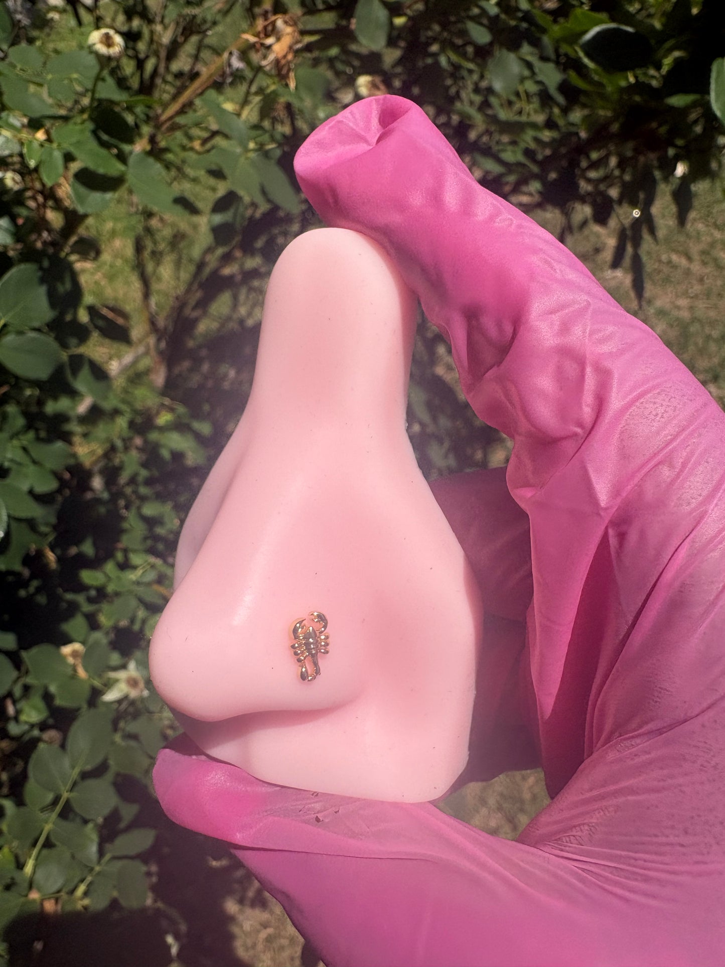 Scorpio babe nose ring